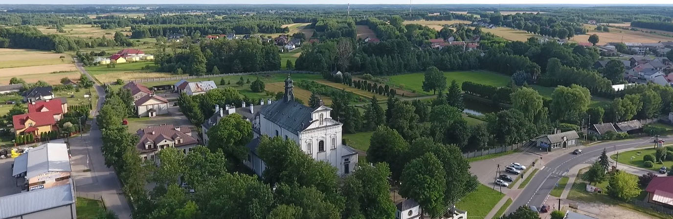 Widok Skórca z lotu ptaka-mniejszy